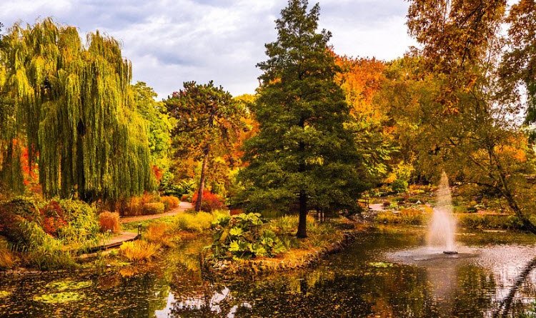 University of Wrocław Botanical Garden, Poland